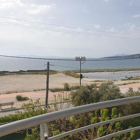 Bella Vista Daire Golos Dış mekan fotoğraf